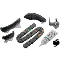 Vezérműlánc Készlet - Schaeffler INA (559100820)