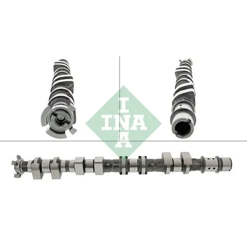Vezérműtengely - Schaeffler INA (428017610)
