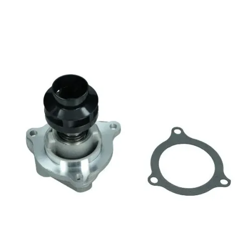 Vizszivattyu Ford Fiesta V 1,3 01- - MAXGEAR (MGC-5216)