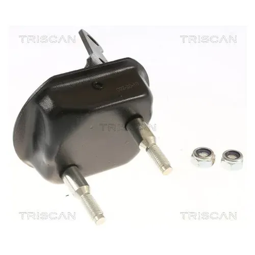 Csapágybak, Tengelytest - TRISCAN (850028534)
