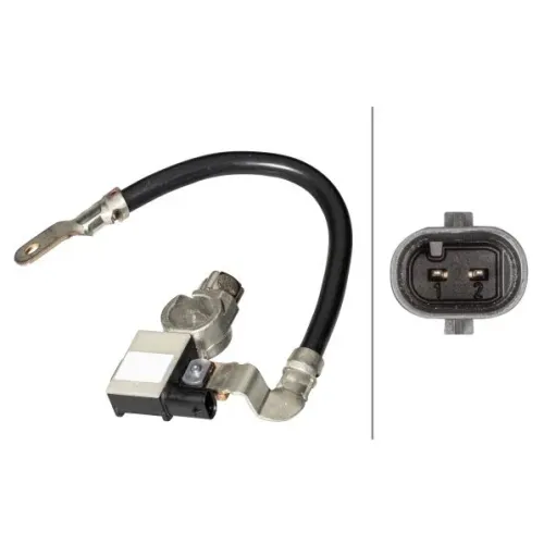 Érzékelő, Akkumulátor Management - HELLA (6PK010840-911)