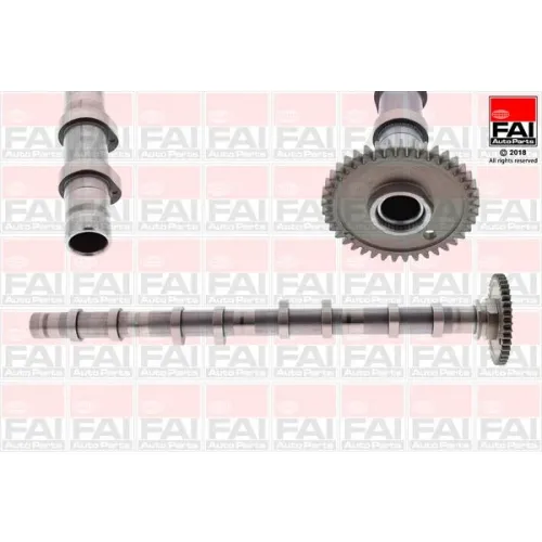 Vezérműtengely - FAI AutoParts (C393)