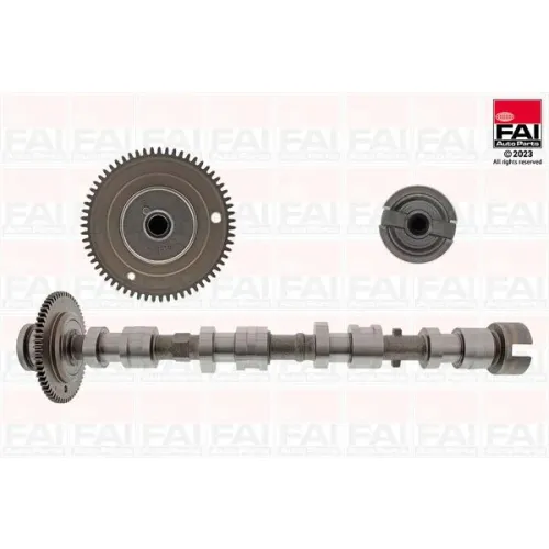 Vezérműtengely - FAI AutoParts (FAIC529)