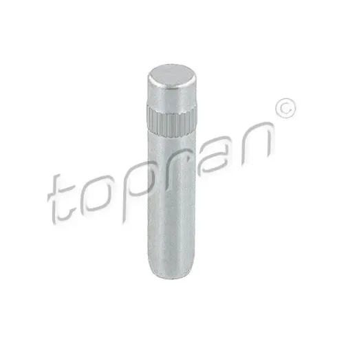 Ajtó Zsanér - TOPRAN (HP103 416)