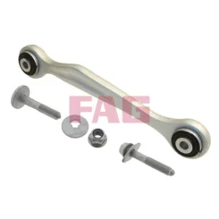 Lengőkar, Kerékfelfüggesztés - Schaeffler FAG (821079810)