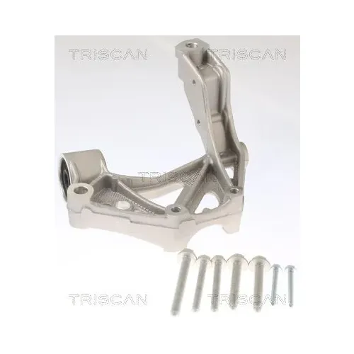 Csapágybak, Tengelytest - TRISCAN (8500295262)