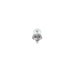 Izzó Basic R2 12V, 45/40W, P45T - BOSCH (1987302826)