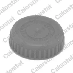 Zárófedél, Hűtőfolyadék-Tartály Nissan 21723Bm400 - CALORSTAT by Vernet (RC0188)
