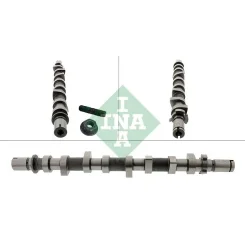 Vezérműtengely Dacia Duster 1.5Dci 13- - Schaeffler INA (428025210)