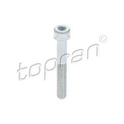 Csavar Univerzális M8 Hosszú 63Mm - TOPRAN (HP110 707)