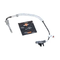 Érzékelő, Kipufogógáz-Hőmérséklet - NRF (NRF707124)