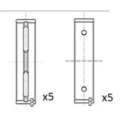 Főtengely Csapágycsésze Fiat 1.4/1.8/1.9Td Std Készlet - FAI AutoParts (BM1050-STD)