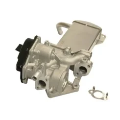 Szelep Egr Vw Golf Vi 2.0Tdi Amarok 09- (Modul) - MAXGEAR (27-4141)