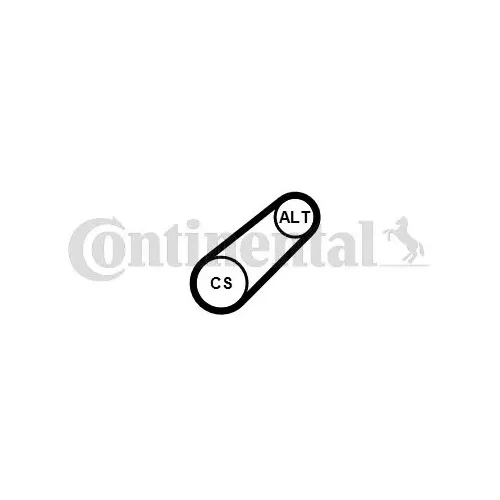 Hosszbordás Szíj 6Pk799Elast - CONTINENTAL CTAM (6PK799ELAST)
