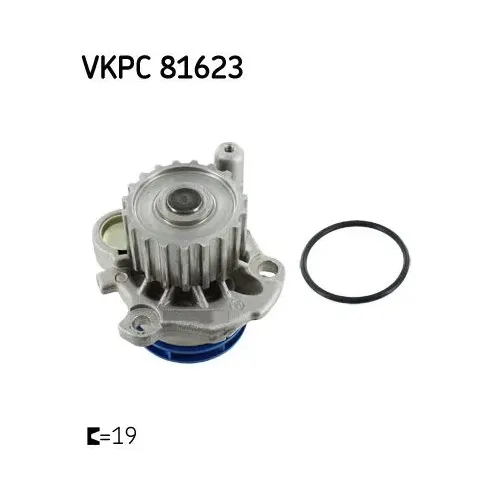 Vízszivattyú - SKF (VKPC81623)