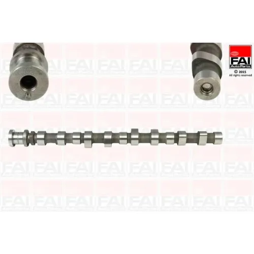 Vezérműtengely - FAI AutoParts (C288)