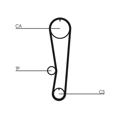Fogasszíj - CONTINENTAL CTAM (CT895)