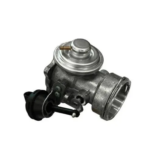 Agr-Szelep - MAGNETI MARELLI (EV047)