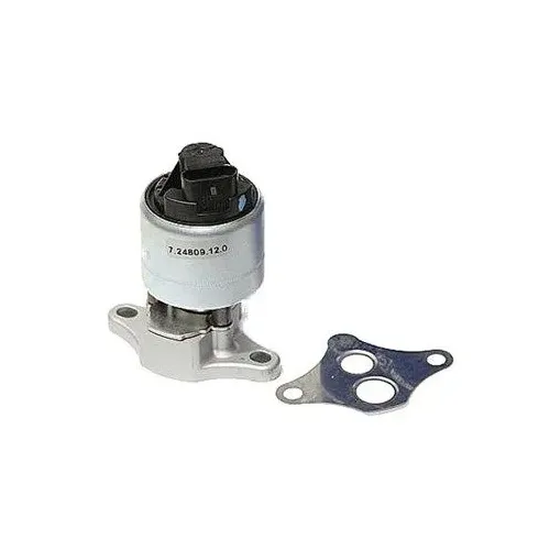 Agr-Szelep - MAGNETI MARELLI (EV024)