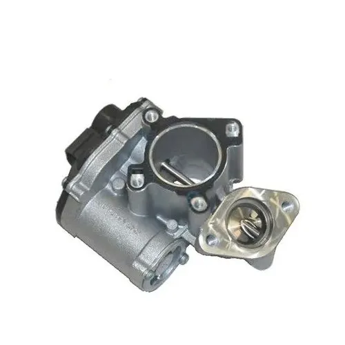 Agr-Szelep - MAGNETI MARELLI (EV043)