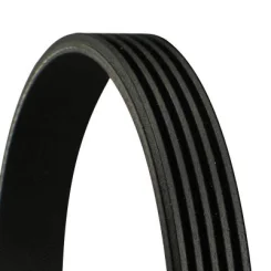 Hosszbordás Szíj - CONTINENTAL CTAM (5PK955)