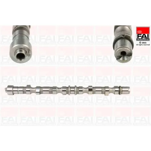 Vezérműtengely - FAI AutoParts (C281)