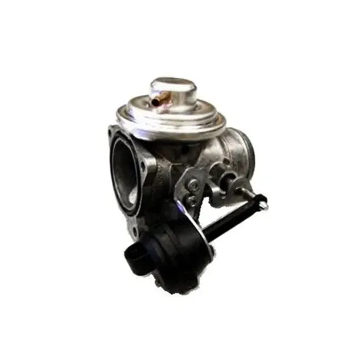 Agr-Szelep - MAGNETI MARELLI (EV048)