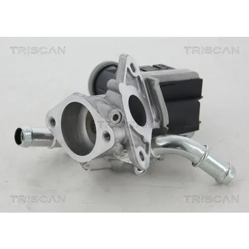 Agr-Szelep - TRISCAN (881316036)