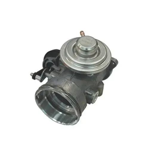 Agr-Szelep - MAGNETI MARELLI (EV049)