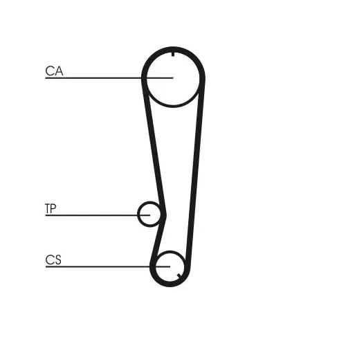 Fogasszíj - CONTINENTAL CTAM (CT569)