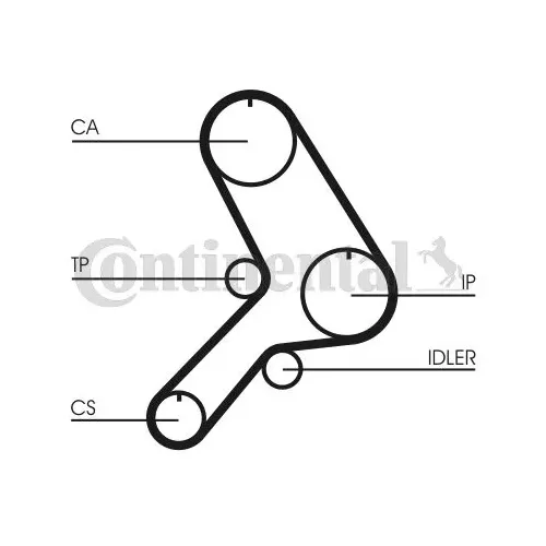 Fogasszíj - CONTINENTAL CTAM (CT613)