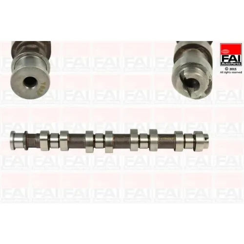 Vezérműtengely - FAI AutoParts (C306)