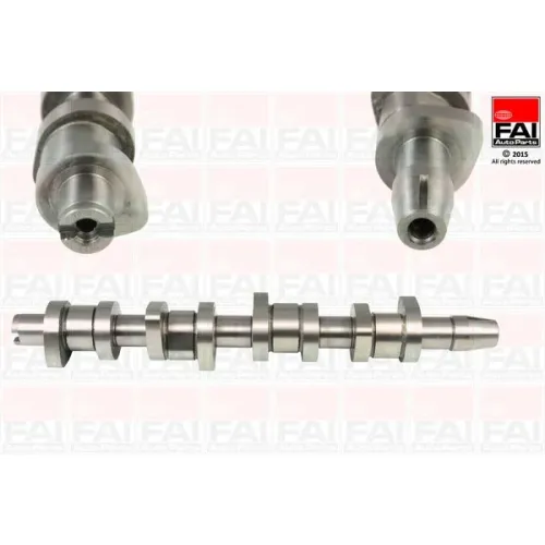 Vezérműtengely - FAI AutoParts (C248C)