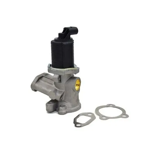 Agr-Szelep - MAGNETI MARELLI (EV003)
