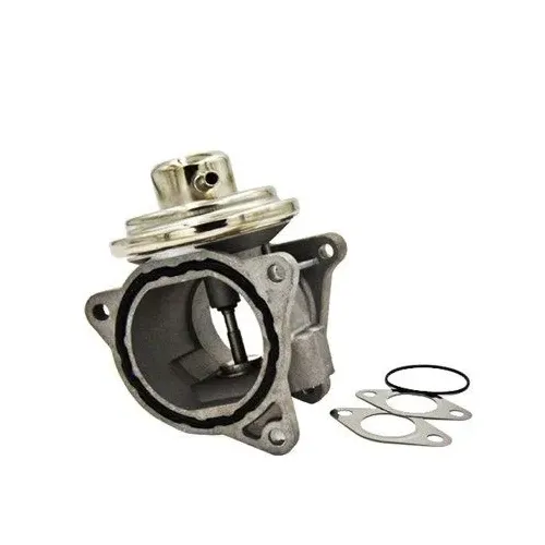 Agr-Szelep - MAGNETI MARELLI (EV045)
