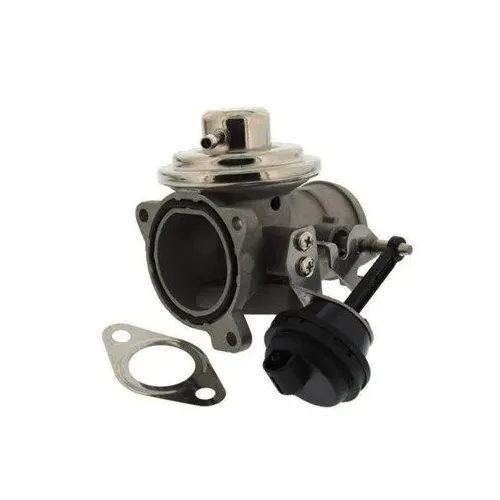 Agr-Szelep - MAGNETI MARELLI (EV046)