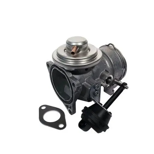 Agr-Szelep - MAGNETI MARELLI (EV051)
