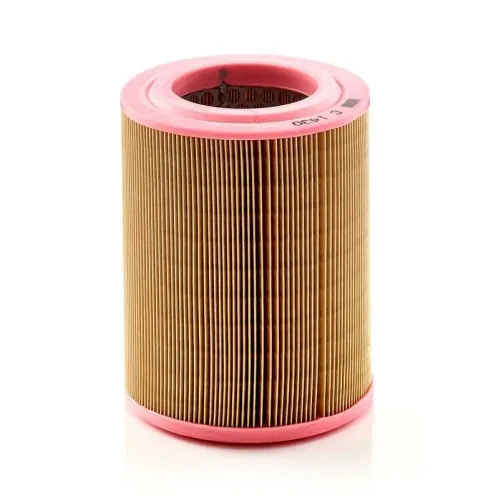 Légszűrő - MANN-FILTER (C1430)
