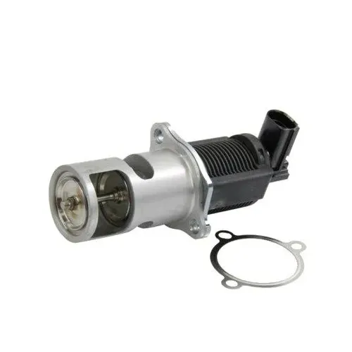 Agr-Szelep - MAGNETI MARELLI (EV009)