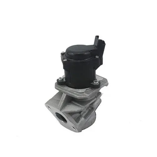 Agr-Szelep - MAGNETI MARELLI (EV029)