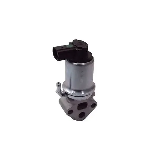 Agr-Szelep - MAGNETI MARELLI (EV014)