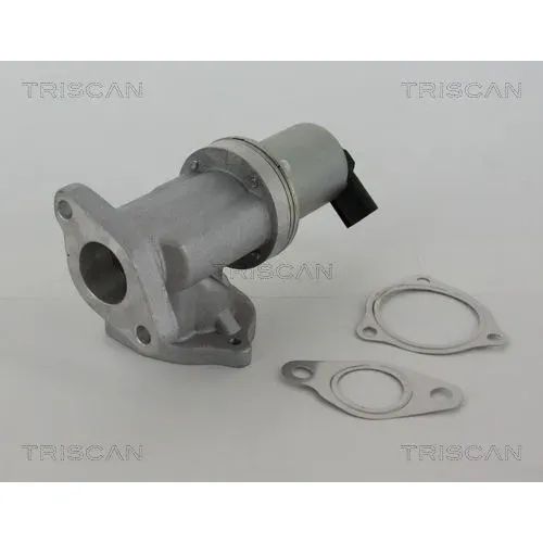 Agr-Szelep - TRISCAN (881343002)