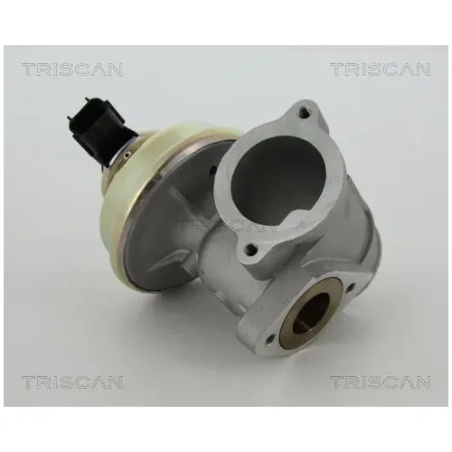 Agr-Szelep - TRISCAN (881316102)