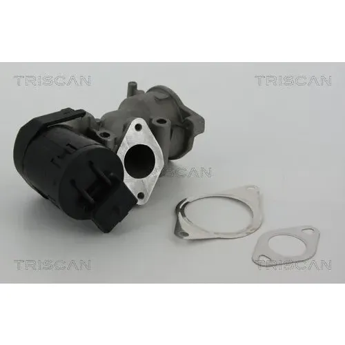Agr-Szelep - TRISCAN (881310001)