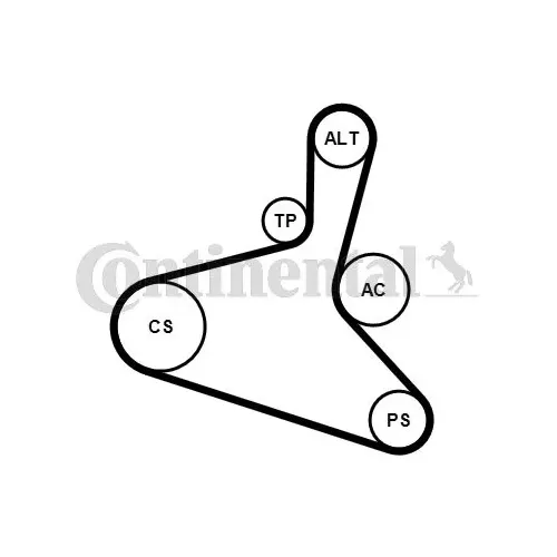 Hosszbordás Szíj Készlet - CONTINENTAL CTAM (6DPK1195K2)