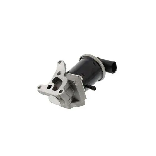 Agr-Szelep - MAGNETI MARELLI (EV068)