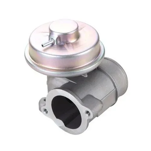 Agr-Szelep - MAGNETI MARELLI (EV111)