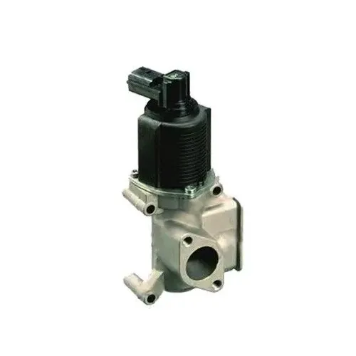 Agr-Szelep - MAGNETI MARELLI (EV065)