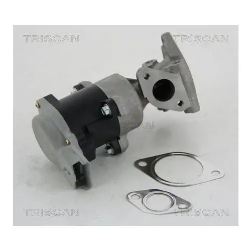 Agr-Szelep - TRISCAN (881310008)