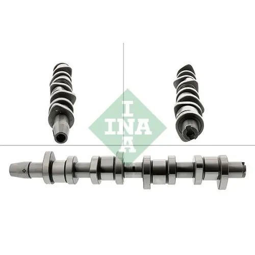 Vezérműtengely - Schaeffler INA (428013010)